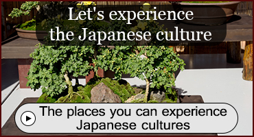 The places you can experience Japanese cultures