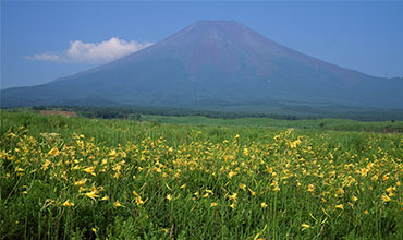 Mt.Fuji