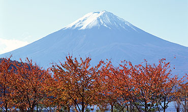 Mt.Fuji