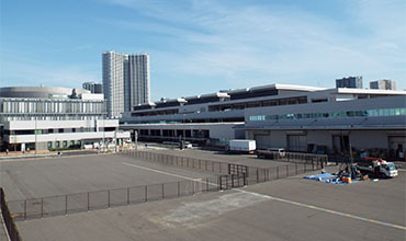 Toyosu market