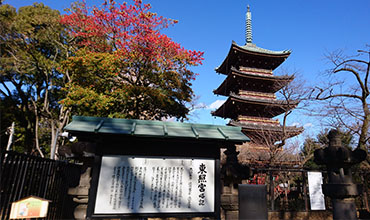 Ueno Toshogu Shrine